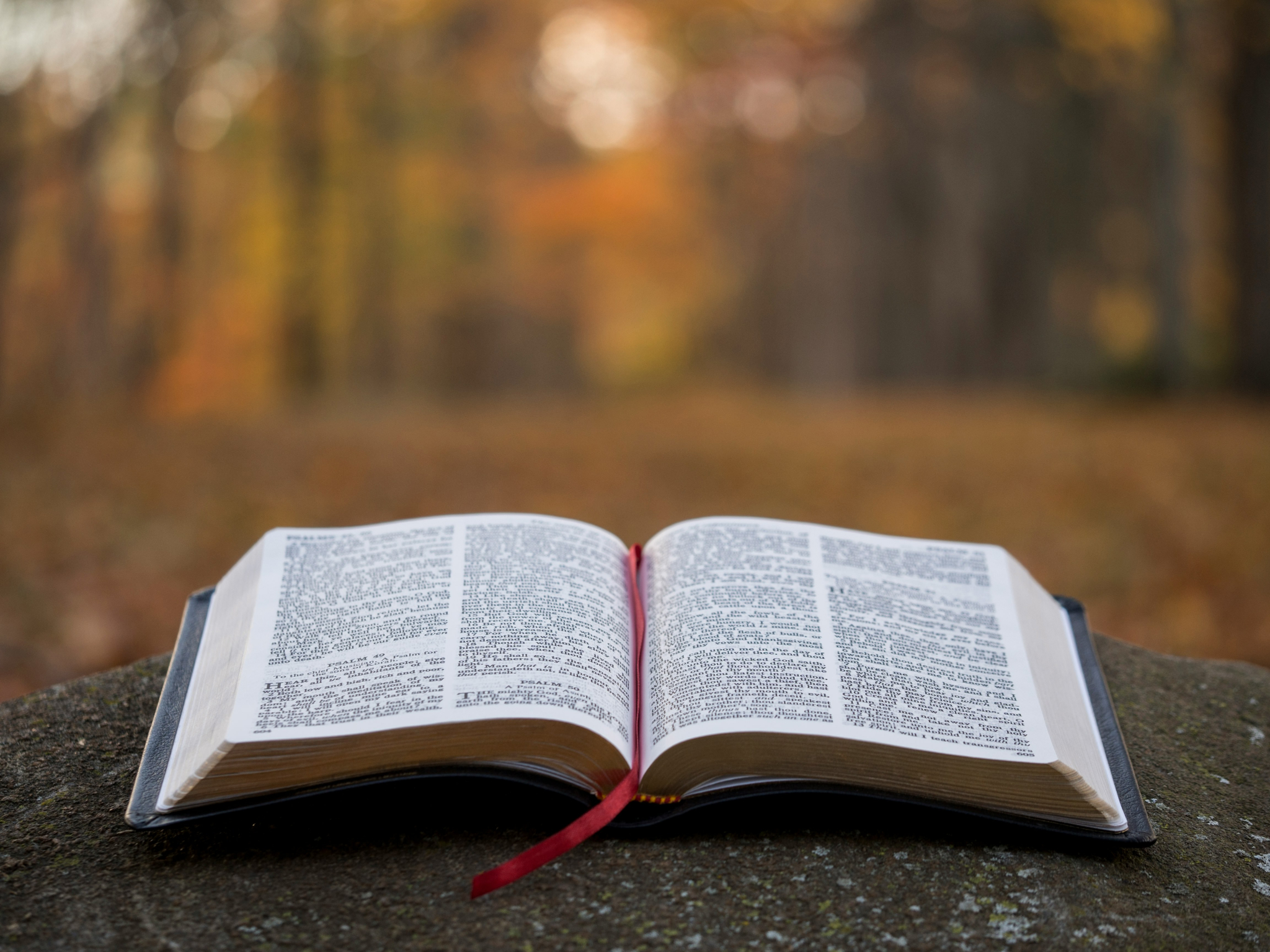 open-bible-covenant-resource-group